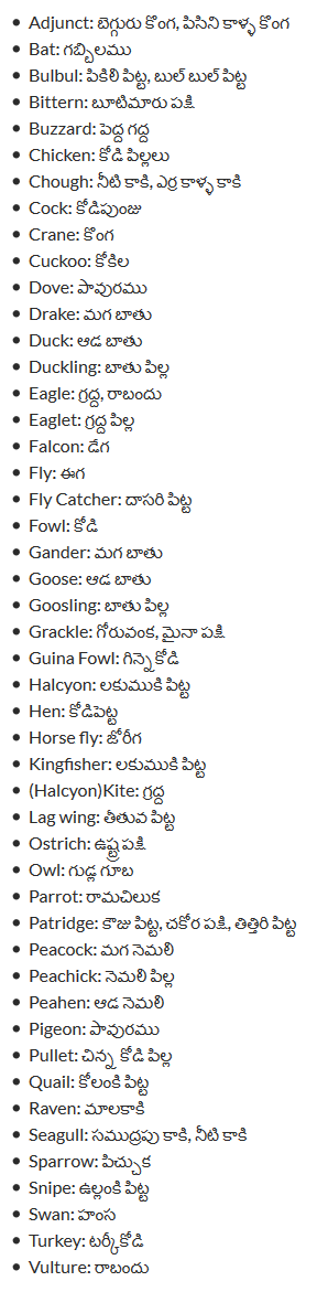 Telugu Meaning Of Birds English Telugu Dictionary