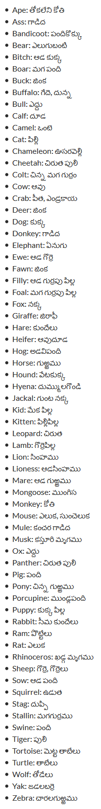 animals – English Telugu Dictionary