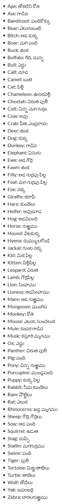 Telugu Meaning of Animals – English Telugu Dictionary